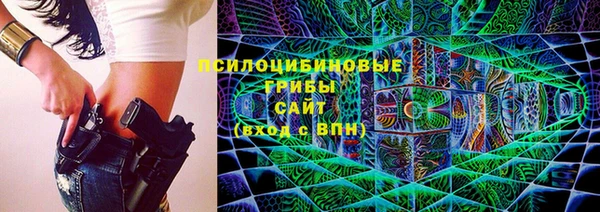 тгк Белокуриха