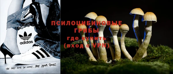 тгк Белокуриха